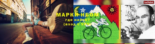 спайс Алзамай