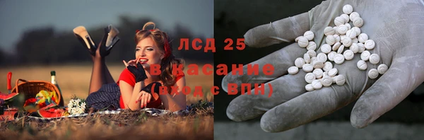 мяу мяу мука Алексеевка
