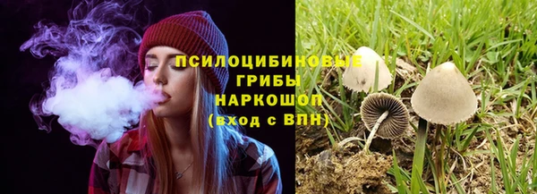 мяу мяу мука Алексеевка