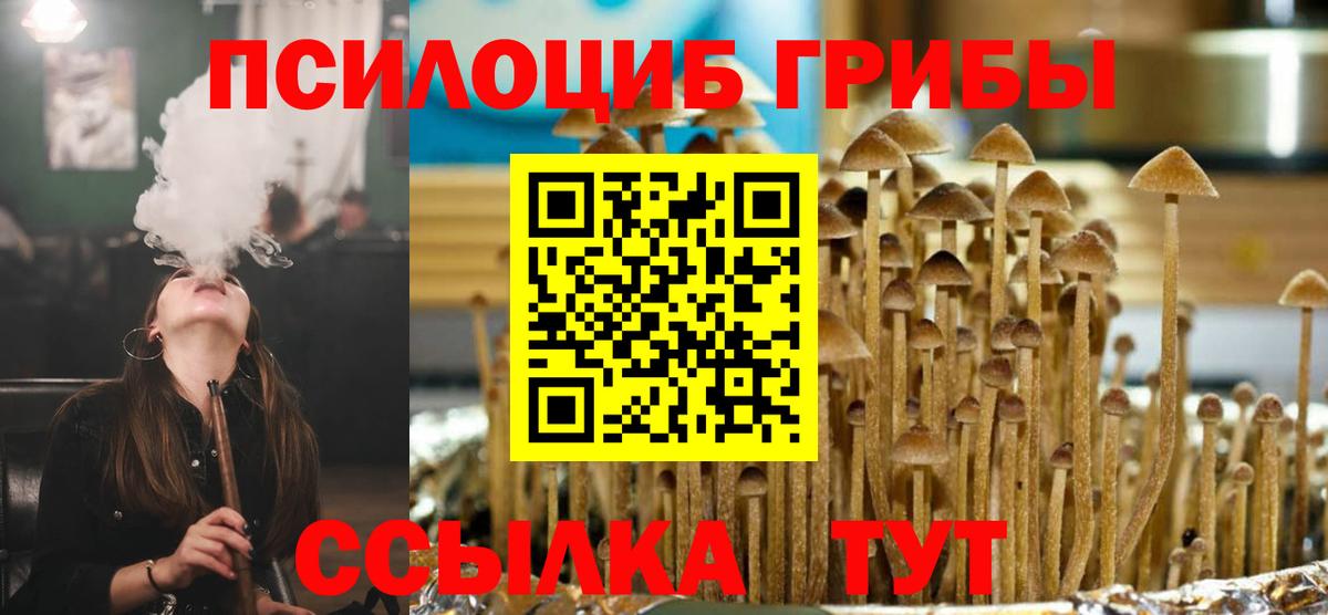 Галлюциногенные грибы GOLDEN TEACHER Новоуральск