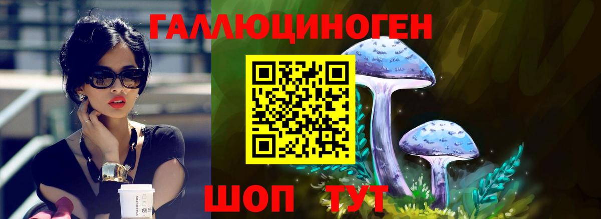 Новоуральск  Галлюциногенные грибы GOLDEN TEACHER  Вход с VPN 
